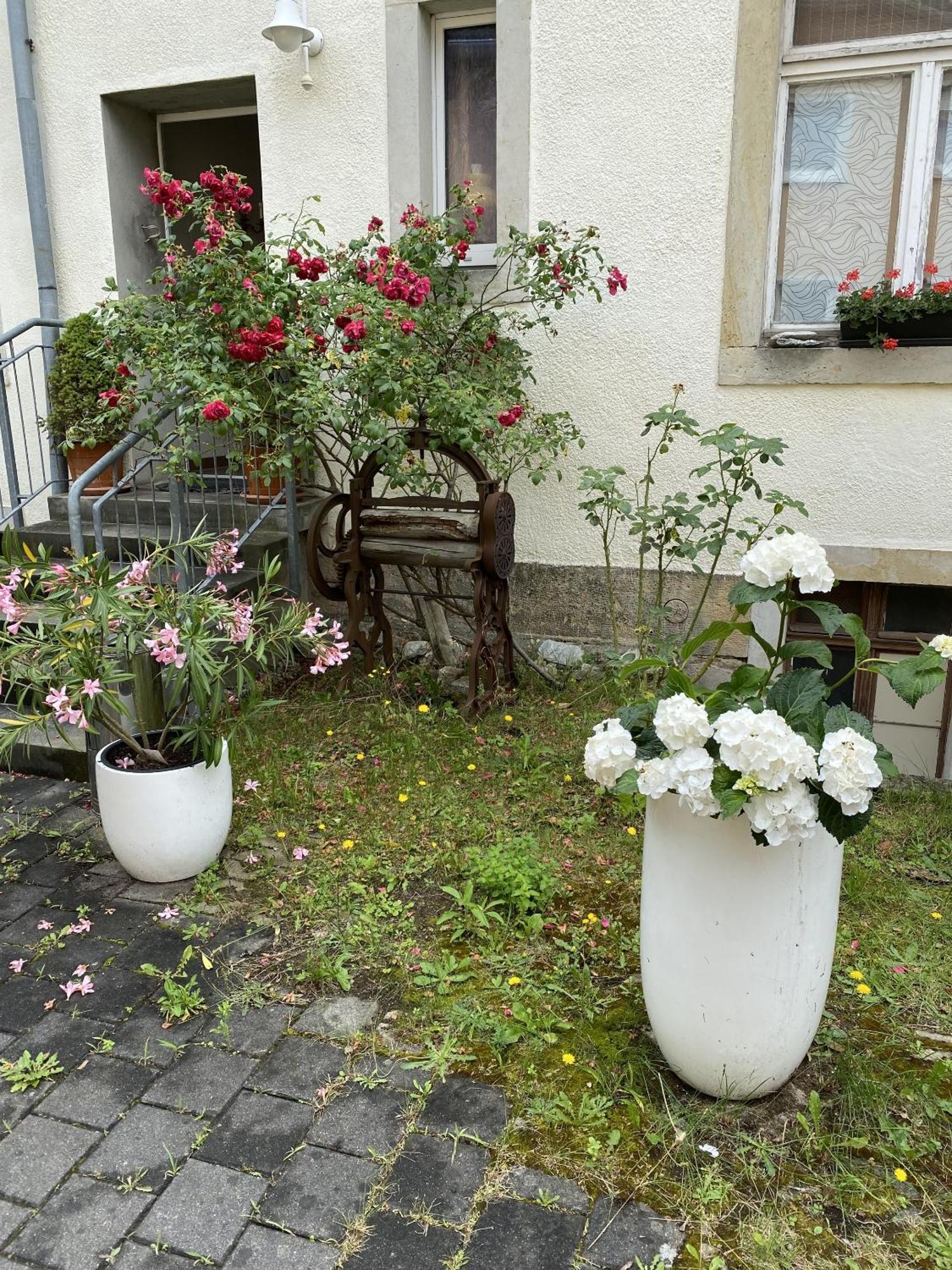 Apartments Und Zimmer Gaestehaus Matthias Dresden Exteriör bild