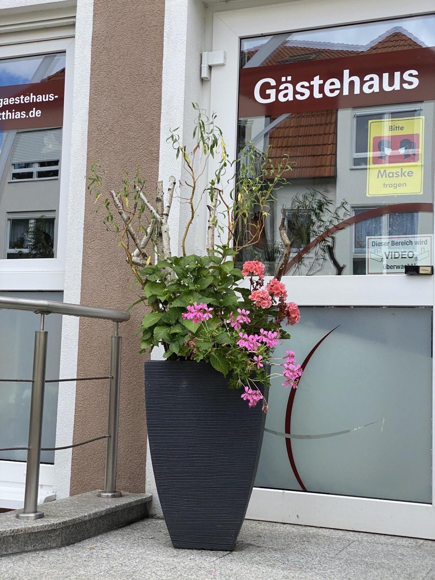 Apartments Und Zimmer Gaestehaus Matthias Dresden Exteriör bild